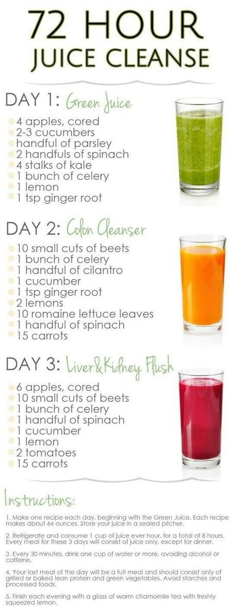 3 Day Juice Cleanse Recipes