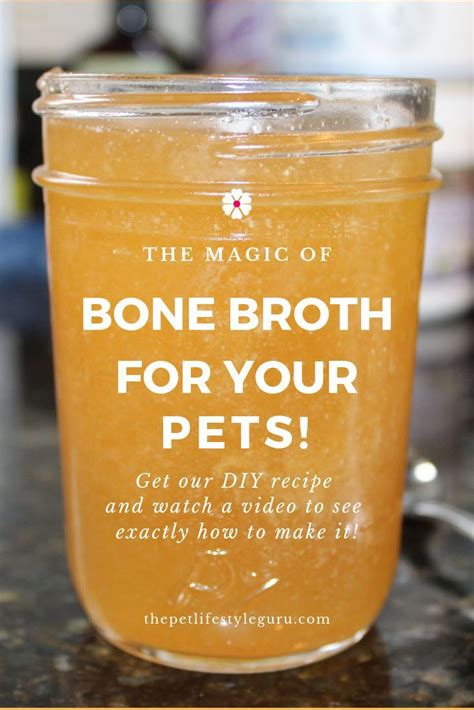 Bone Broth Recipe For Dogs