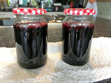 Bramble Jelly Recipe