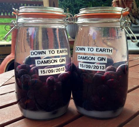 Damson Gin Recipe