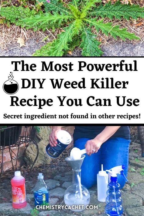 Diy Weed Killer Recipe