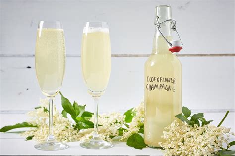 Elderflower Champagne Recipe