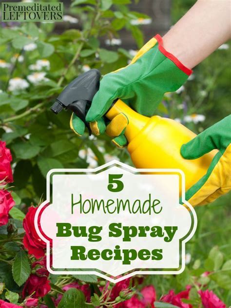 French Mulberry Bug Spray Recipe