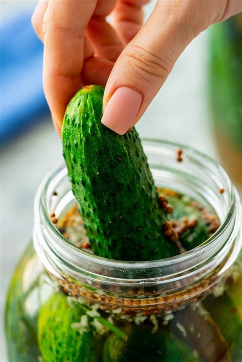 Half Sour Pickle Recipe