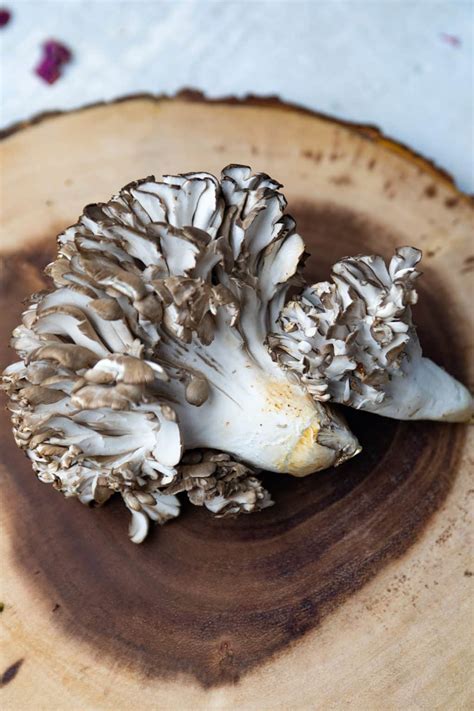 Hen Of The Woods Recipe