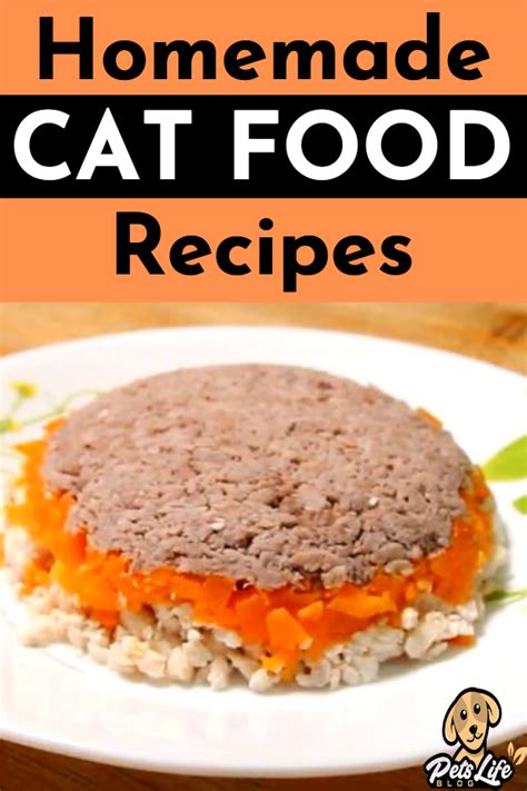 Homemade Cat Food Recipes