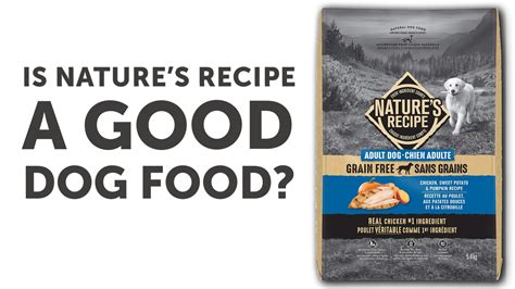 Nature's Recipe Dog Food Reviews