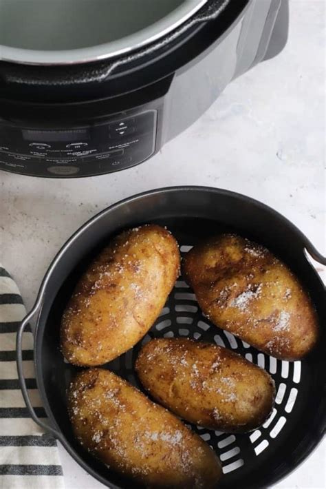 Ninja Foodi Air Fryer Recipes Free