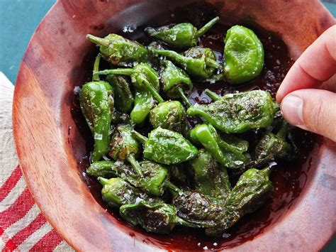 Padron Pepper Recipe