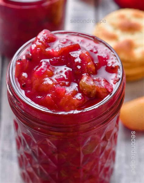 Plum Chutney Recipe