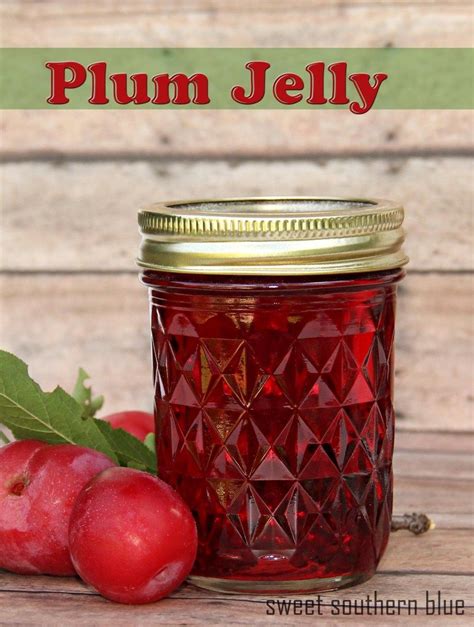 Plum Jelly Uk Recipe