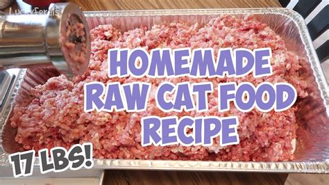 Raw Cat Food Recipe