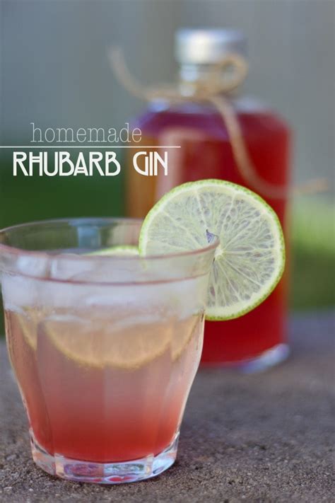 Rhubarb Gin Recipe