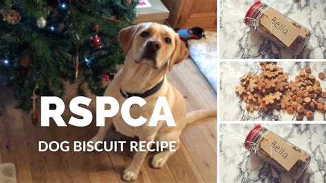 Rspca Dog Biscuit Recipe