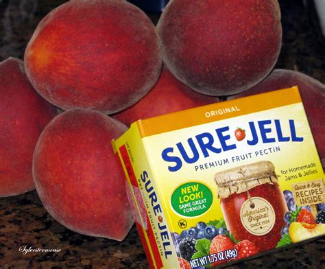 Sure Jell Pectin Recipes