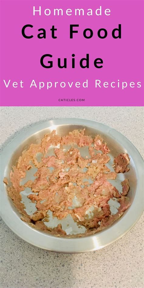 Vet Approved Homemade Cat Food Recipes