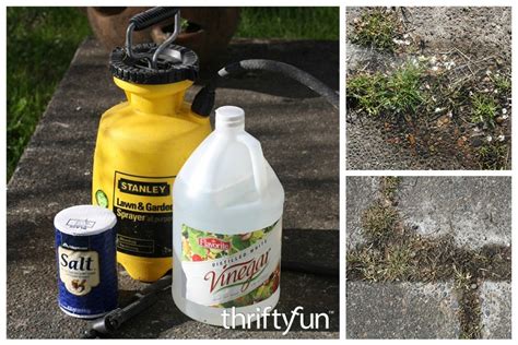 Vinegar And Salt Weed Killer Recipe