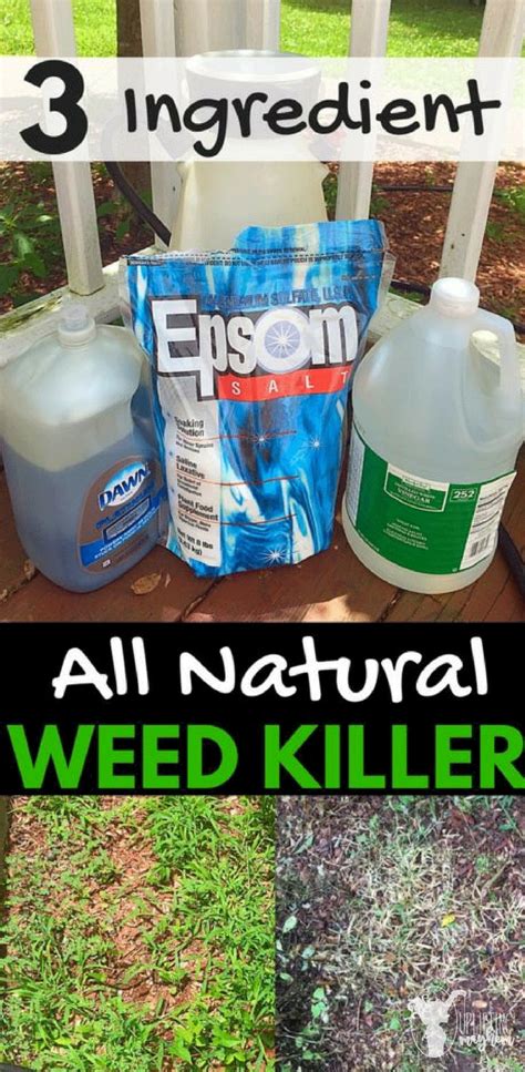 Vinegar Weed Killer Recipe