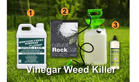 Weed Killer With Vinegar Recipe