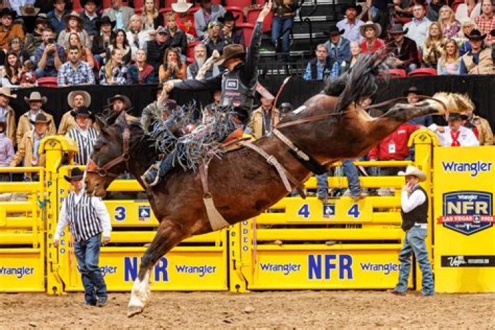 Tough to Cry: After a Brutal Rodeo Injury, JB Mauneys Latest Ranch UpdateEarns Applause Fr
